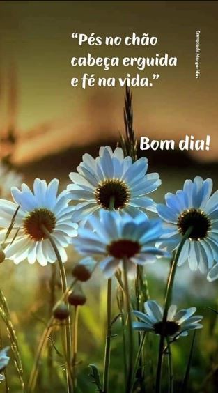 Imagens de bom dia