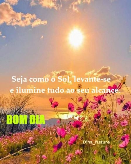 Imagens de bom dia