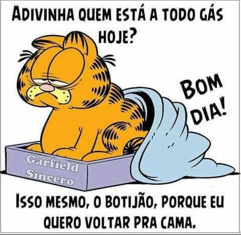 Imagens de bom dia