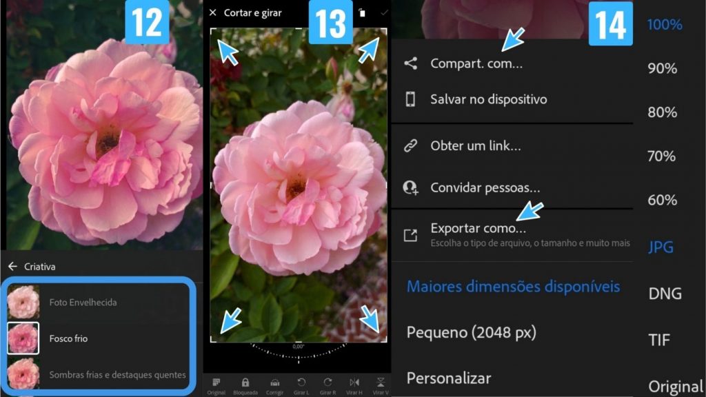 Como usar o editor de fotos profissional Lightroom no celular 4 Como usar o editor de fotos profissional Lightroom no celular 4
