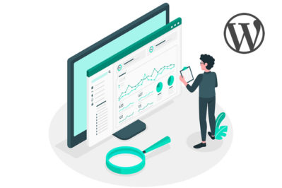 Leia mais sobre o artigo Como adicionar um painel de estatísticas no seu site WordPress