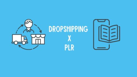 Leia mais sobre o artigo Dropshipping ou PLR: Qual é a melhor opção para você?