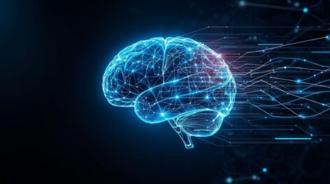 Leia mais sobre o artigo NEUROCIÊNCIA DO DESEJO PROGRAMADO